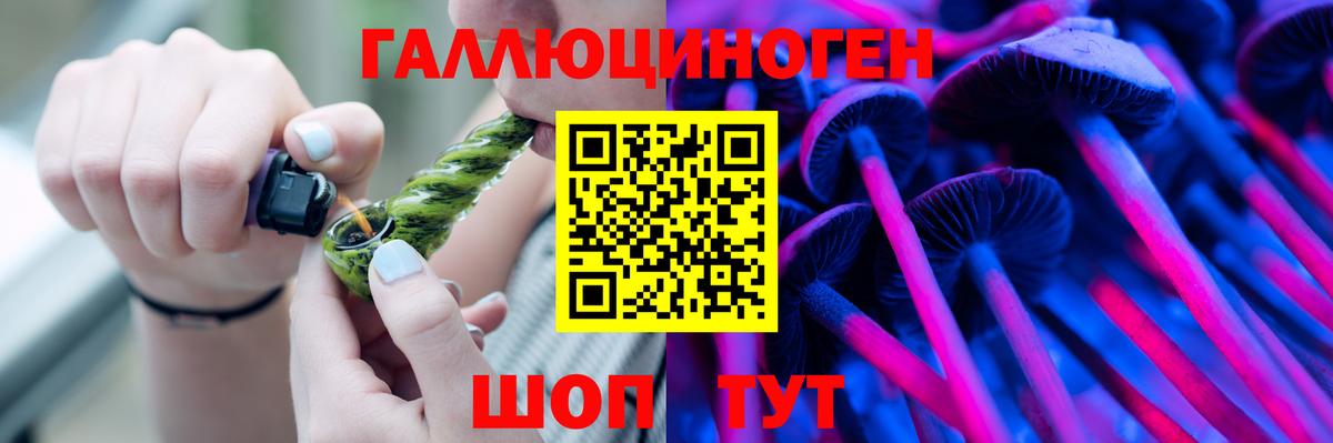 Галлюциногенные грибы Psilocybine cubensis Йошкар-Ола